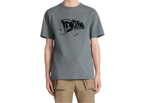 Dior Grey Relaxed Fit T-Shirt